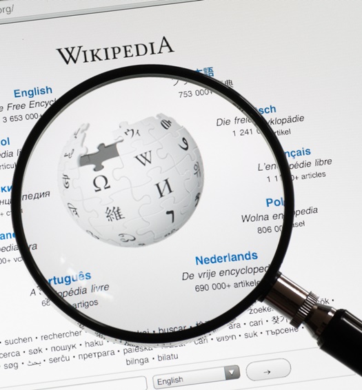 Wikipedia mit Lupe