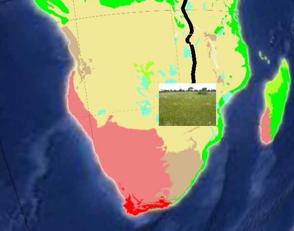 biome_popup.jpg Biome und Zugroute des Schreiadlers in Google Earth