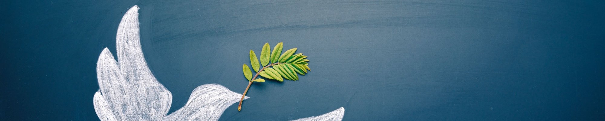 weiße Taube mit grünem Zweig im Schnabel