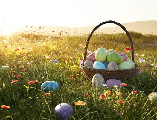 Ostereier im Korb auf einer Frühlingswiese