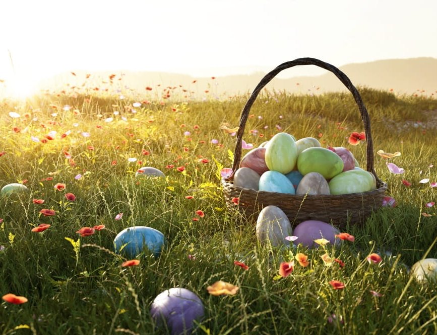 Ostereier im Korb auf einer Frühlingswiese