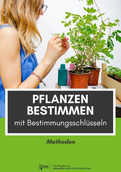004125 Pflanzen Bestimmen Mit Bestimmungsschluesseln Methoden