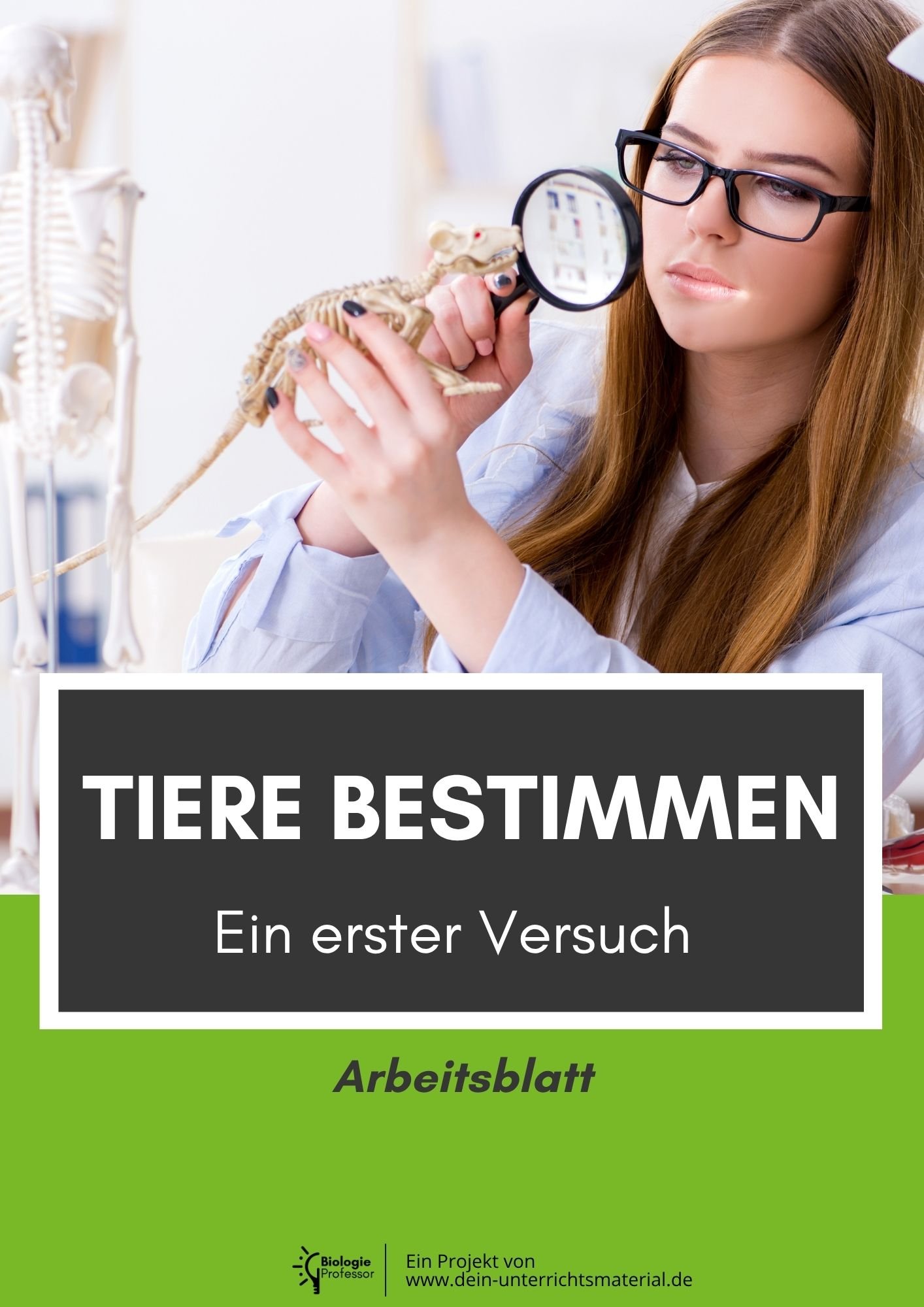 004146 Tiere Bestimmen Ein Erster Versuch Arbeitsblatt