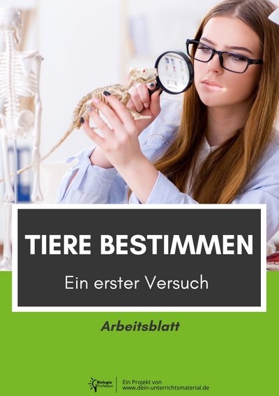 004146 Tiere Bestimmen Ein Erster Versuch Arbeitsblatt