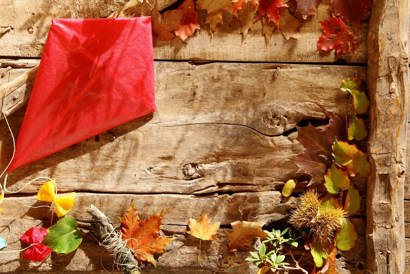 Ein Drache und Laub auf einem Holzboden.