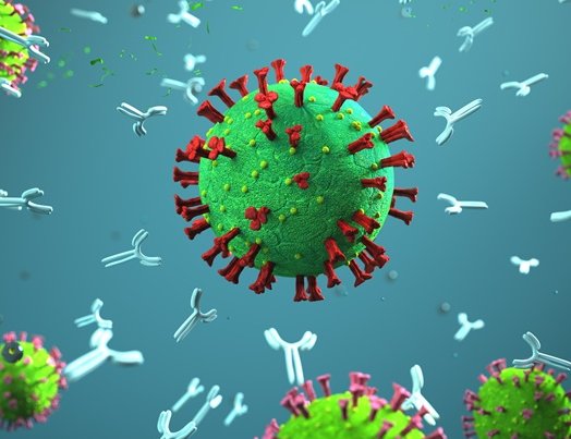 Virus und Antikörper