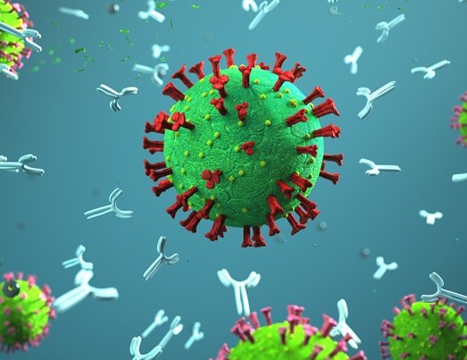 Virus und Antikörper