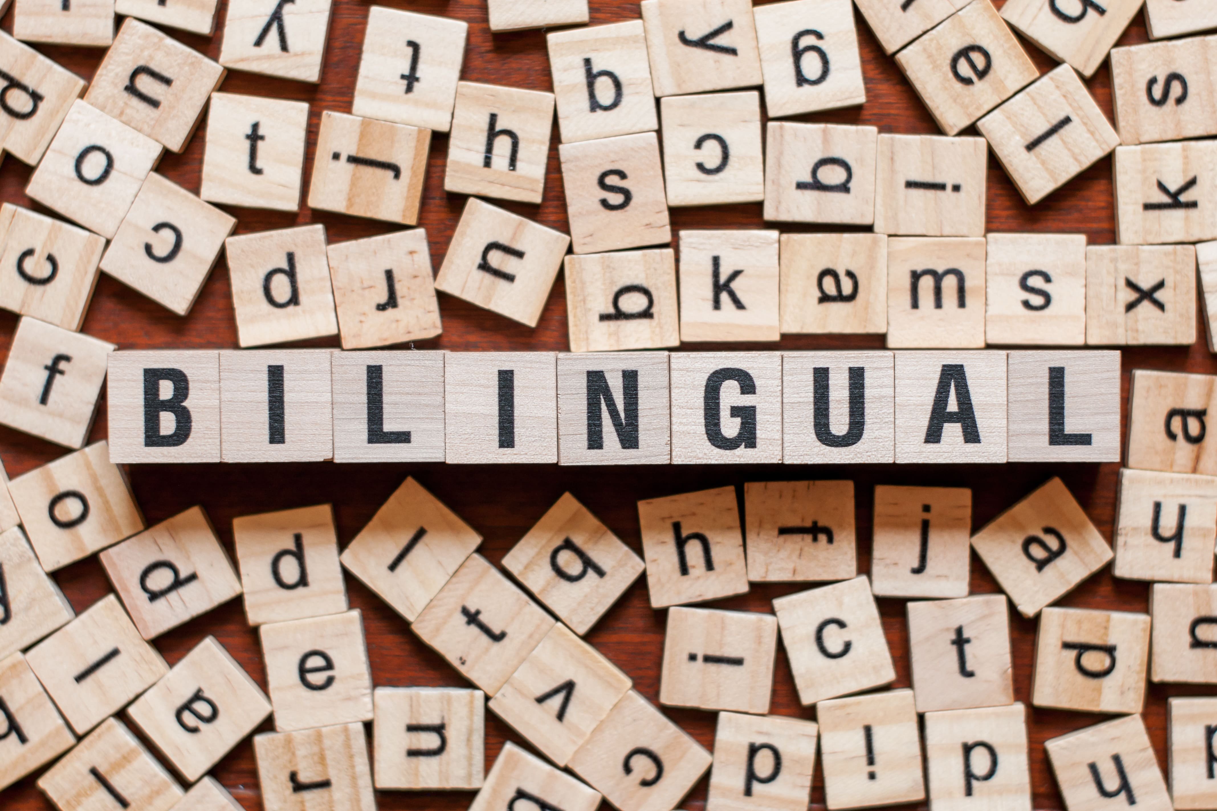 Spielsteine Bilingual Unterricht