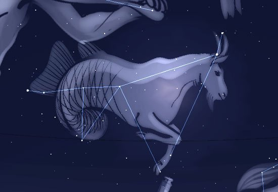 steinbock_sternbildfigur_maxi.jpg Sternbildfigur des Steinbocks als Ziegenfisch; erstellt mit Stellarium