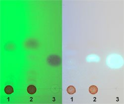 DC_250.jpg Dünnschichtchromatographie zur Analyse verschiedener Zimtsorten