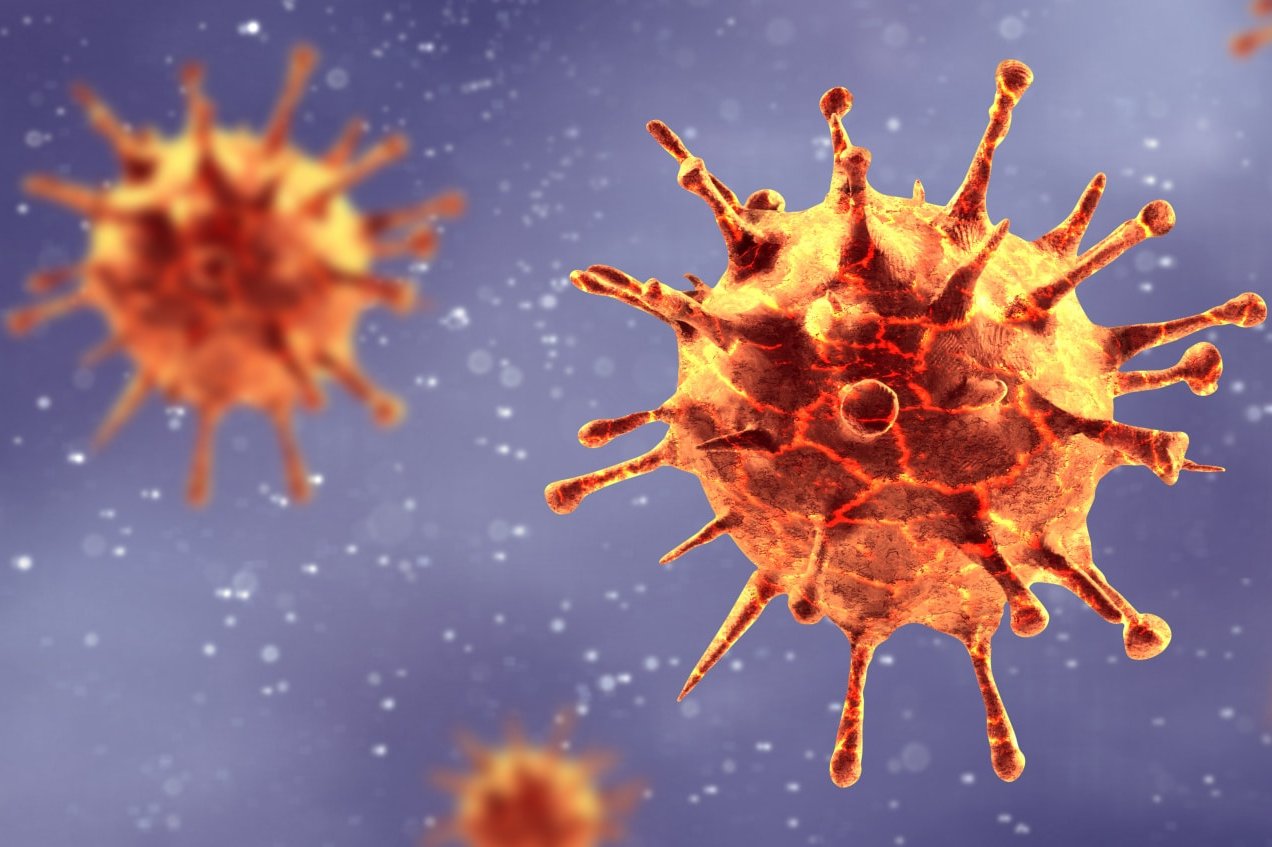 Virus Zelle