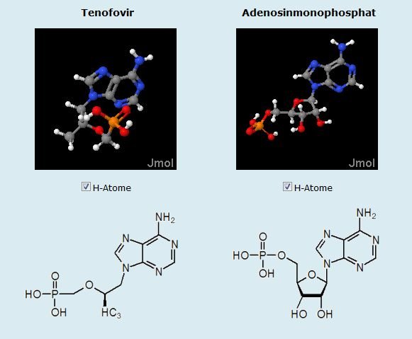 Tenofovir & AMP