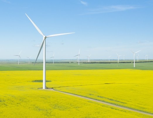 Windkraftanlage in Rapsfeld