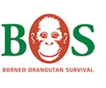 Logo Borneo Orangutan Survival
