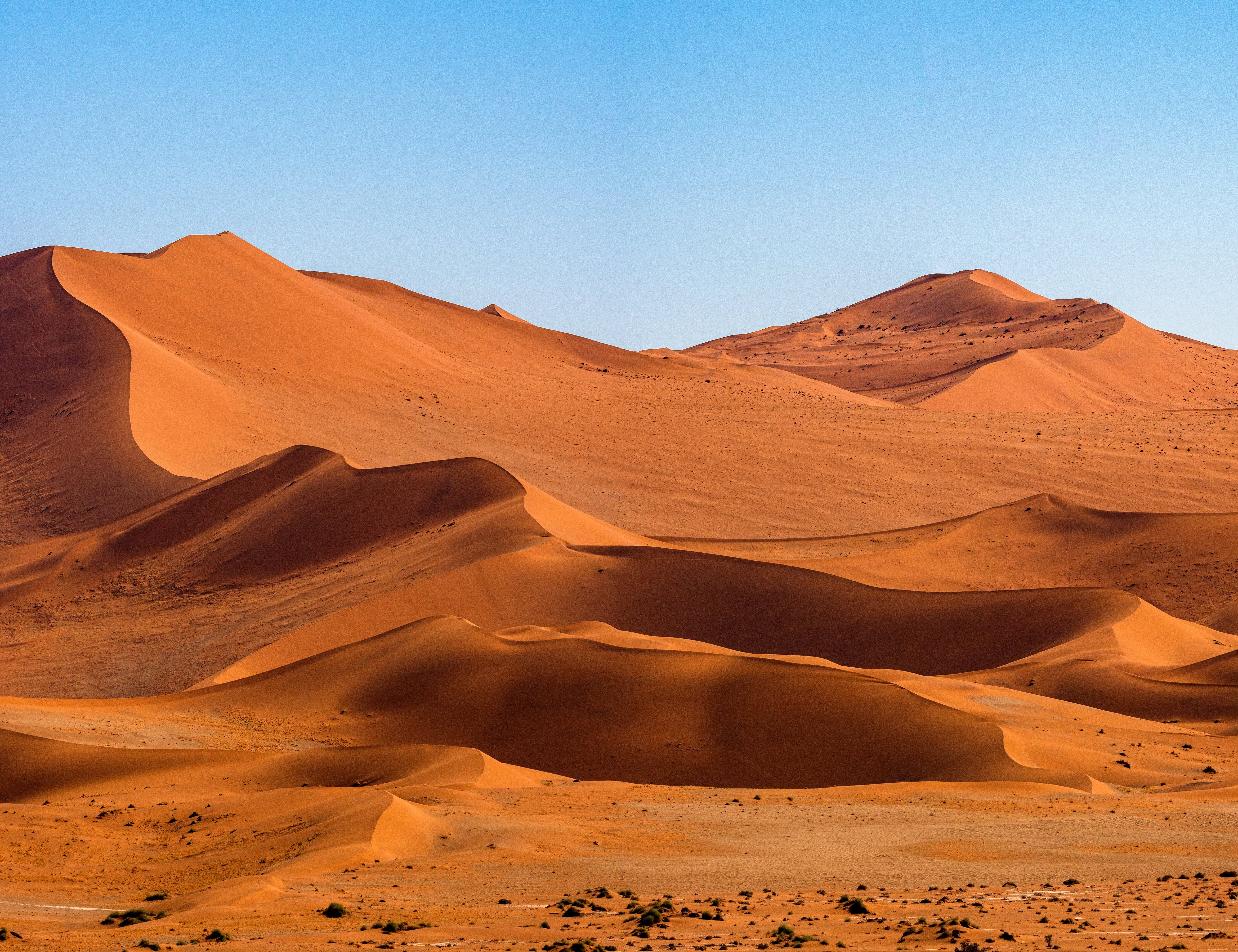 Sahara Wüste