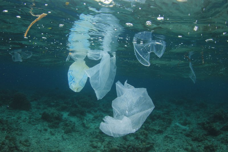 Plastikmüll im Meer