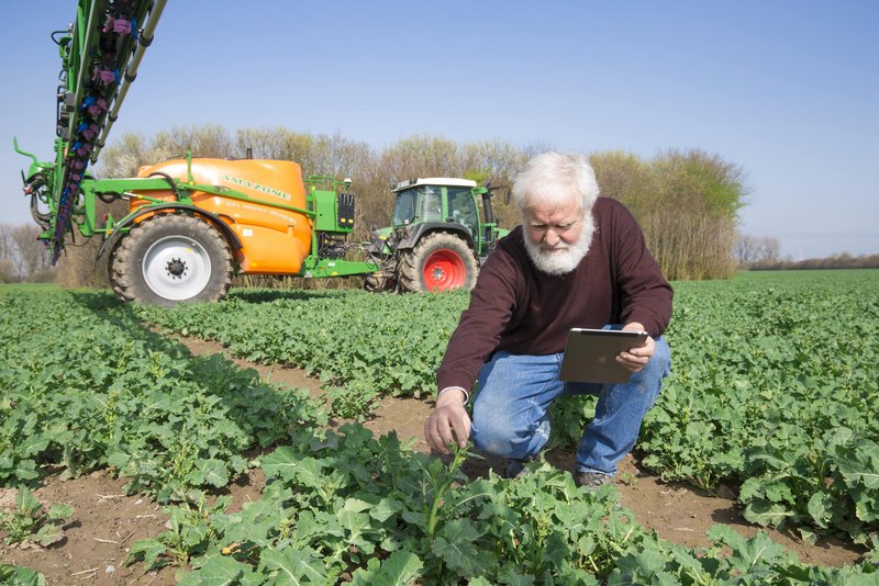 Farmer auf dem Feld 
