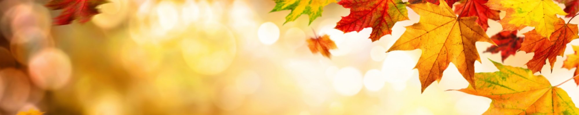 Herbst und Halloween im Unterricht