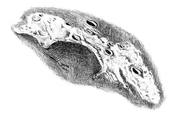 abb_03_org.jpg Mondkrater; Zeichnung von Josef Cukas