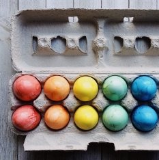 Mathematik zu Ostern - buntbemalte Ostereier im Eierkarton buntbemalte Ostereier im Eierkarton