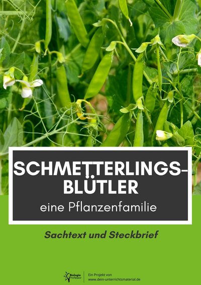 003987 Schmetterlingsbluetler Eine Pflanzenfamilie Sachtext Und Steckbrief