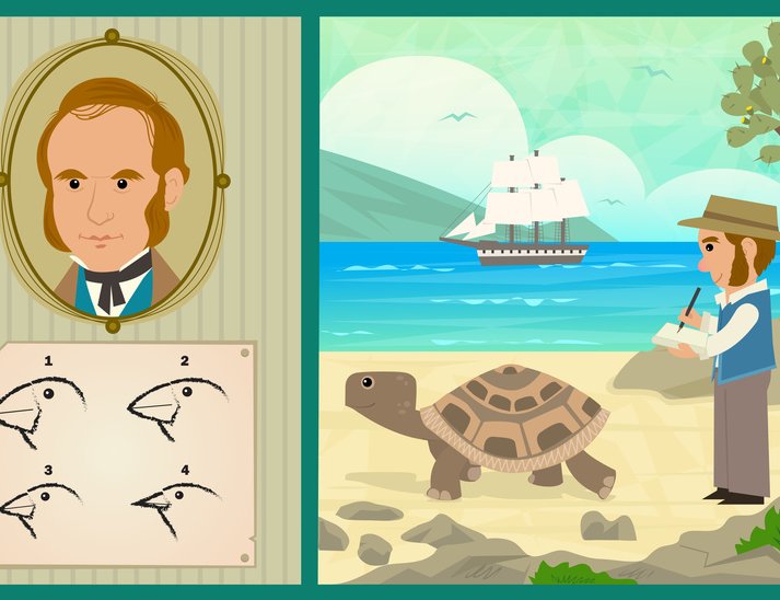 Evolution Charles Darwin