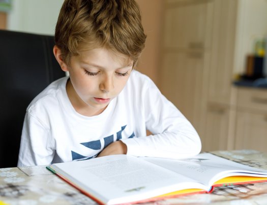 Junge liest ein Buch