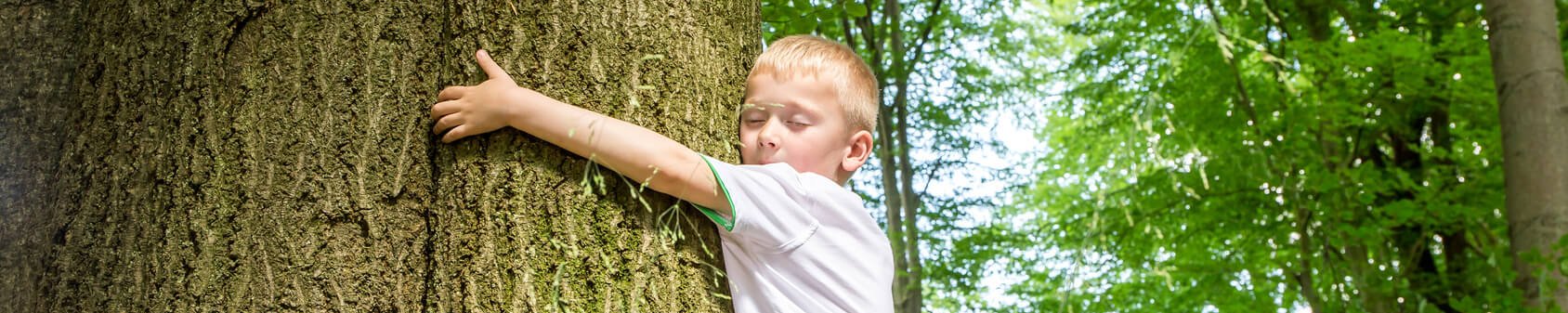 Junge umarmt einen Baum