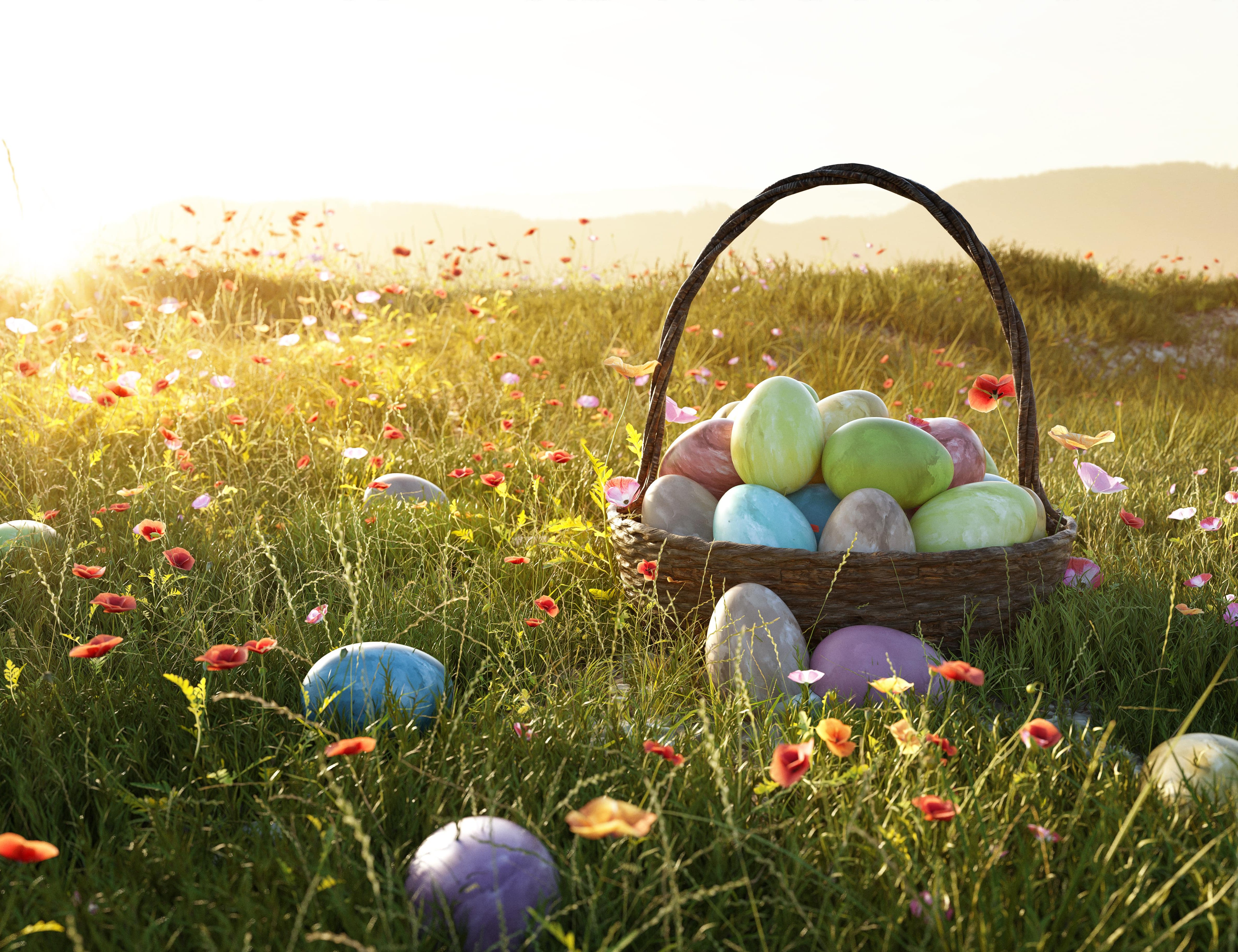 Ostereier im Korb auf einer Frühlingswiese