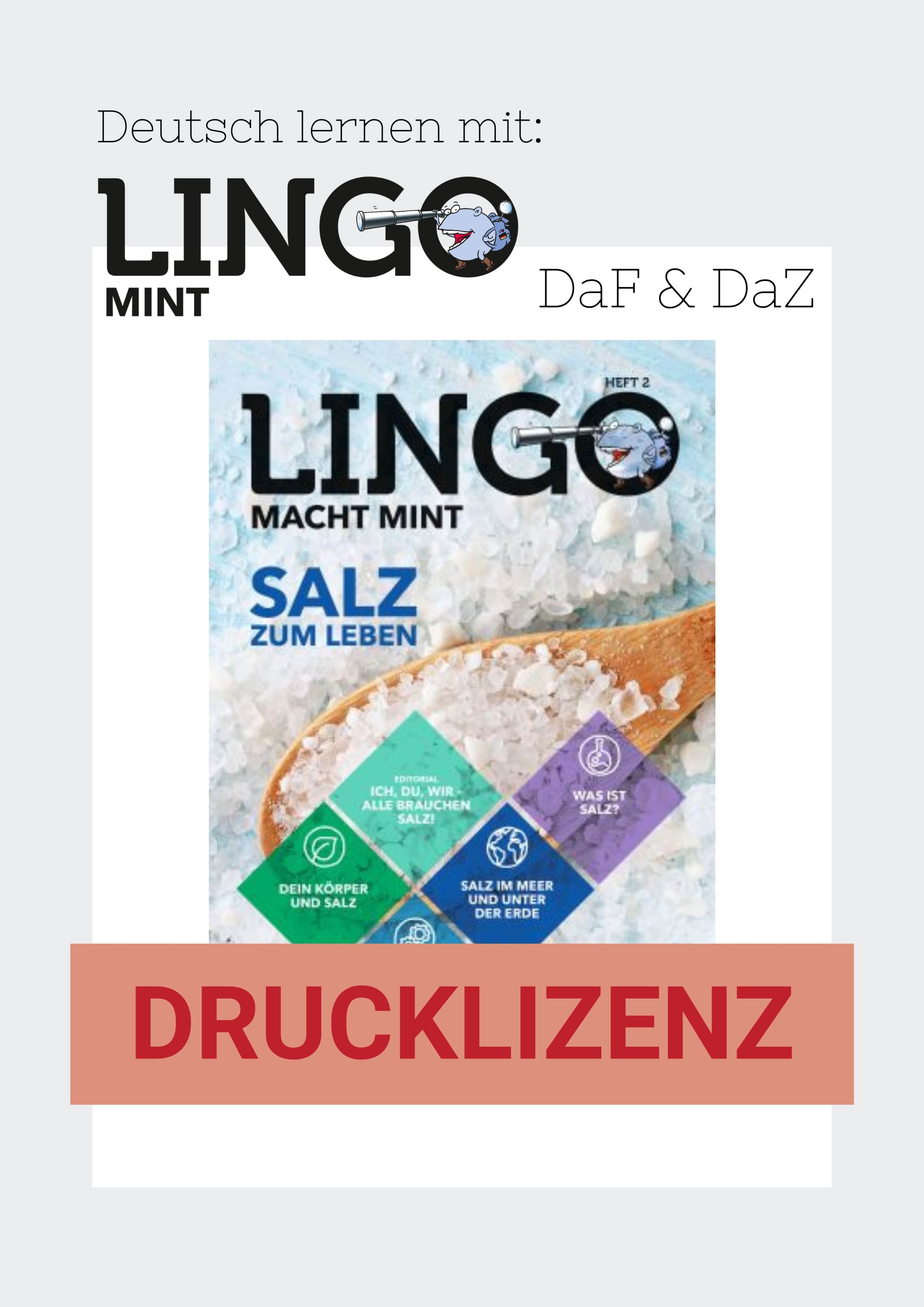 Titelild: Lingo macht MINT Drucklizenz 2 Salz Titelild: Lingo macht MINT Drucklizenz 2 Salz