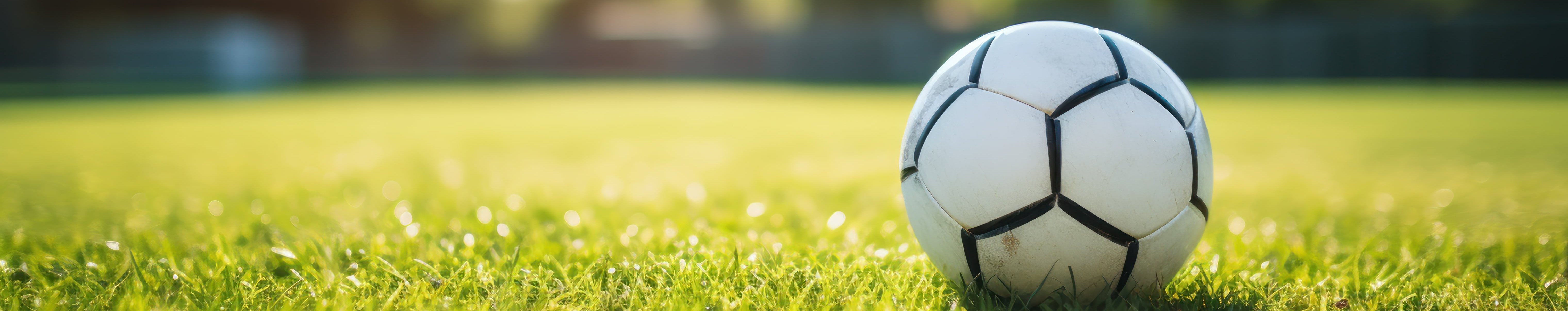 Fussball auf einer Wiese 