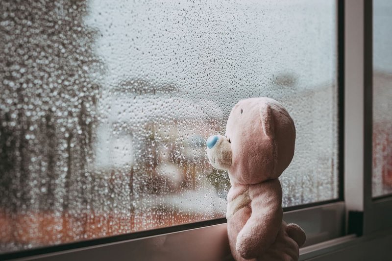 Teddybär vor verregneter Scheibe