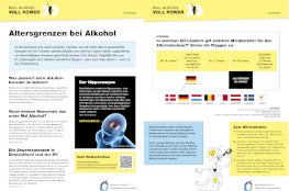 Bild von einer Broschüre über Auswirkungen von Alkohol auf den Körper