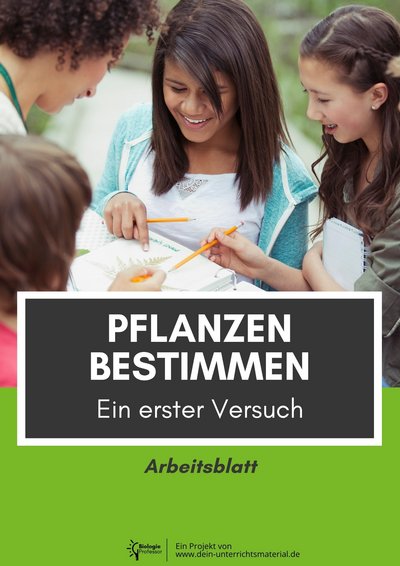 004145 Pflanzen Bestimmen Ein Erster Versuch Arbeitsblatt