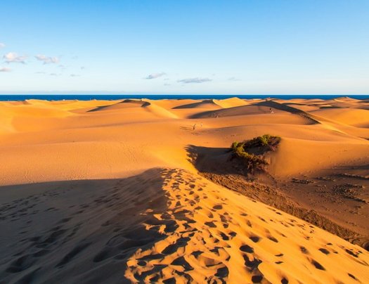 Sahara Wüste
