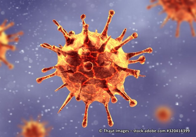 Virus im Detail illustriert