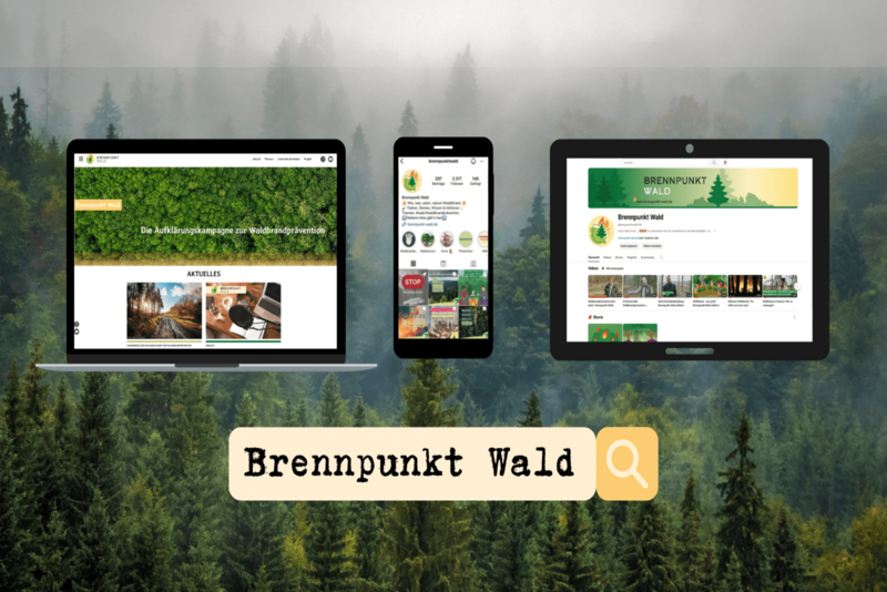 Internetseite Brennpunkt Wald