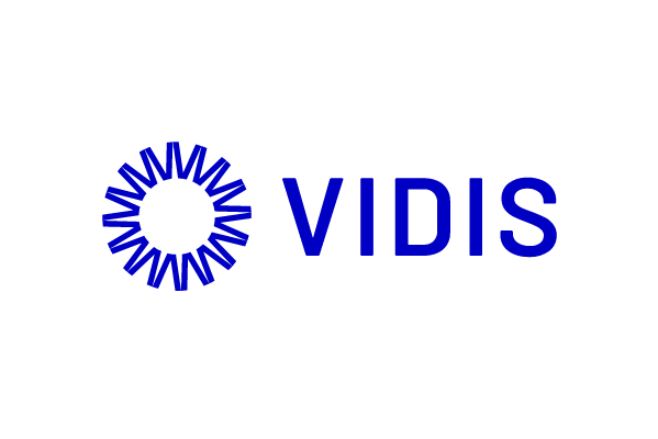 Logo des Projekts VIDIS