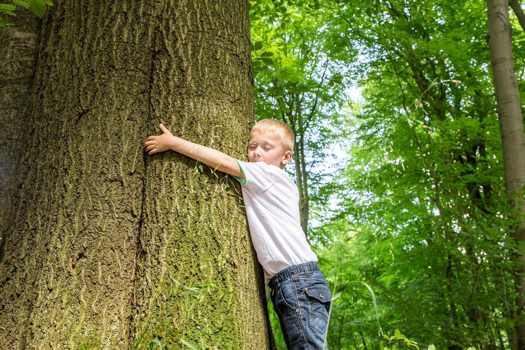 Kind umarmt einen Baum