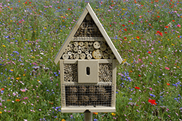 Ein Insektenhotel für den Schulgarten kann mit dieser Bauanleitung entstehen.