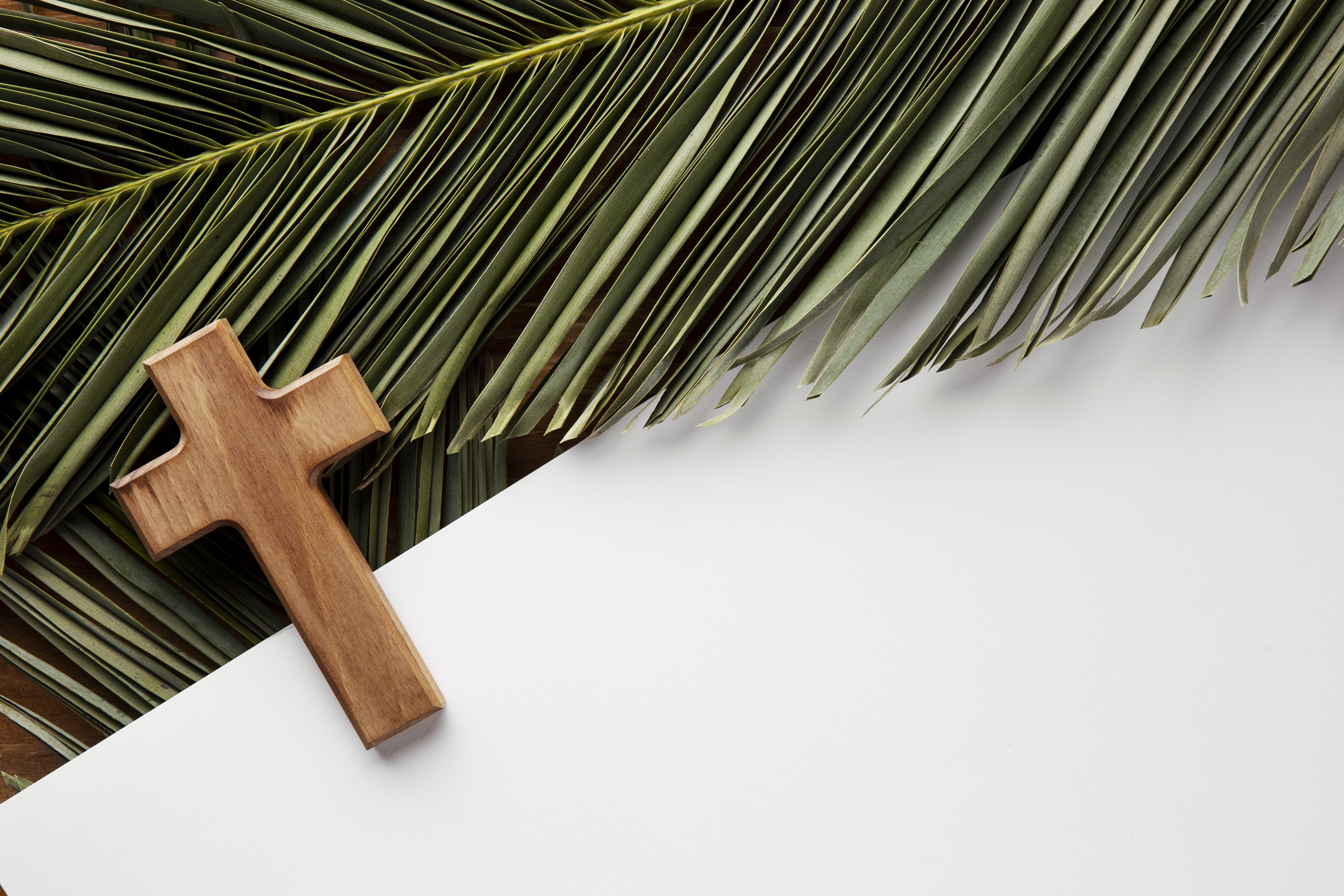 Christliches Kreuz vor einer Palme