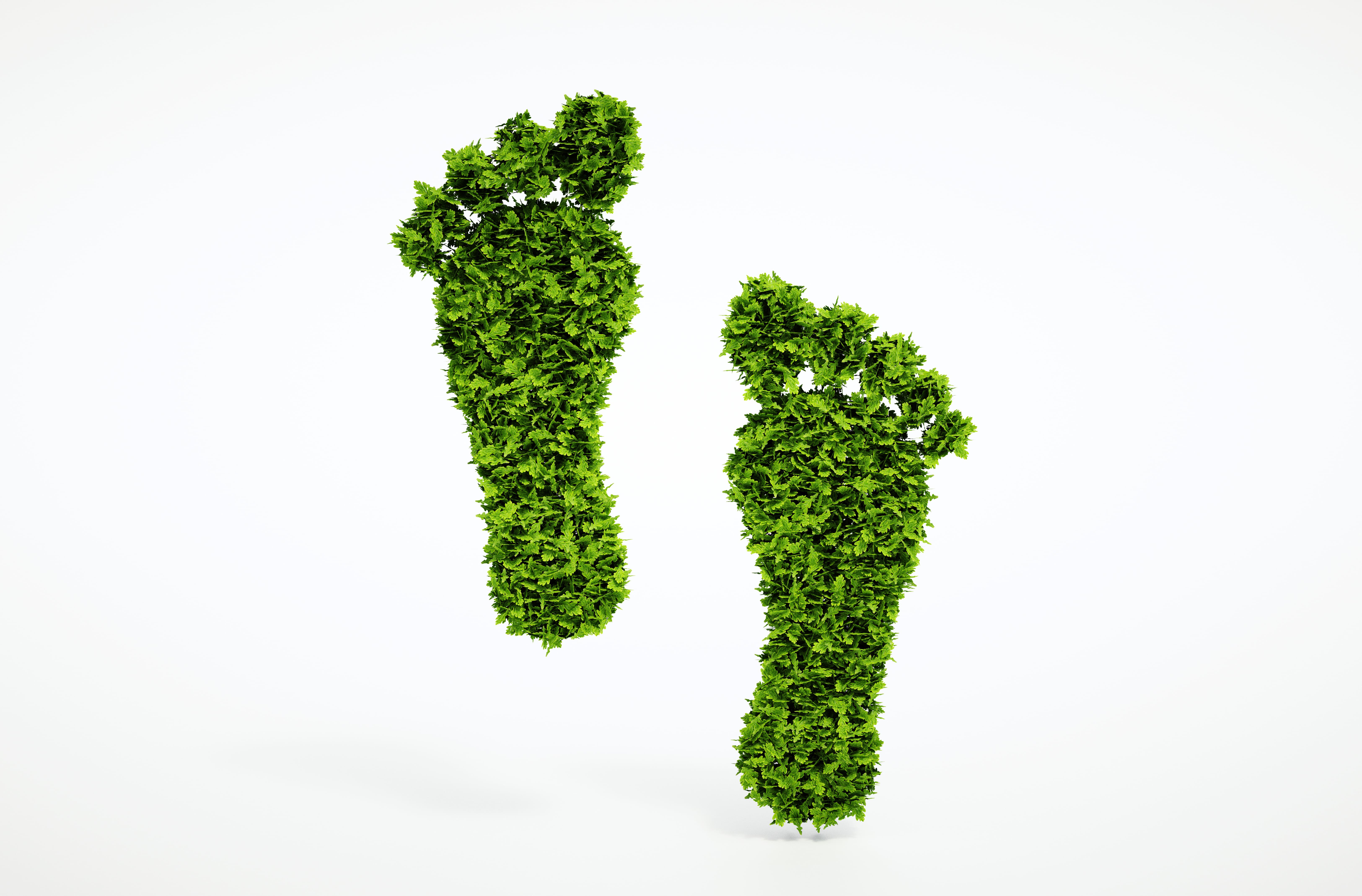 grüner ökologischer Fußabdruck 