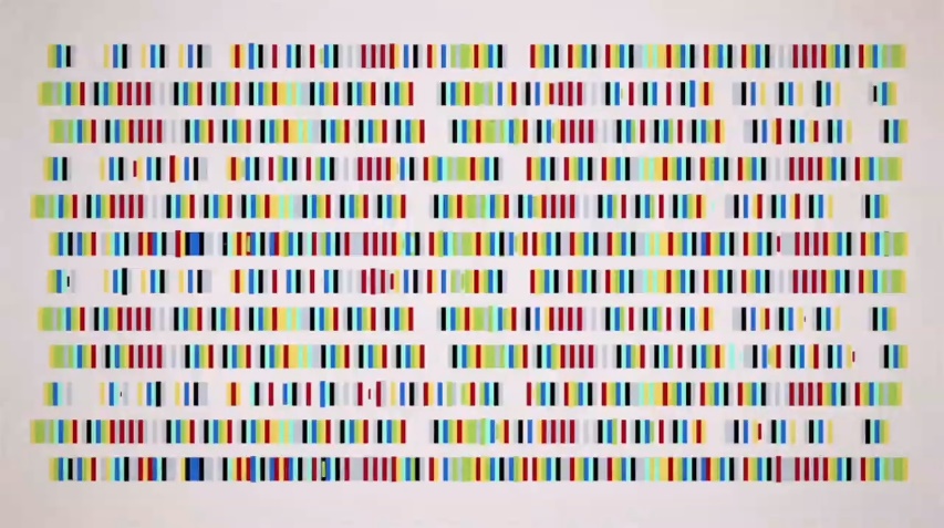 Sequenzierung DNA