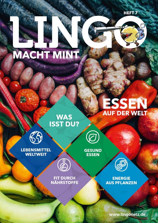 Cover: Heft 7