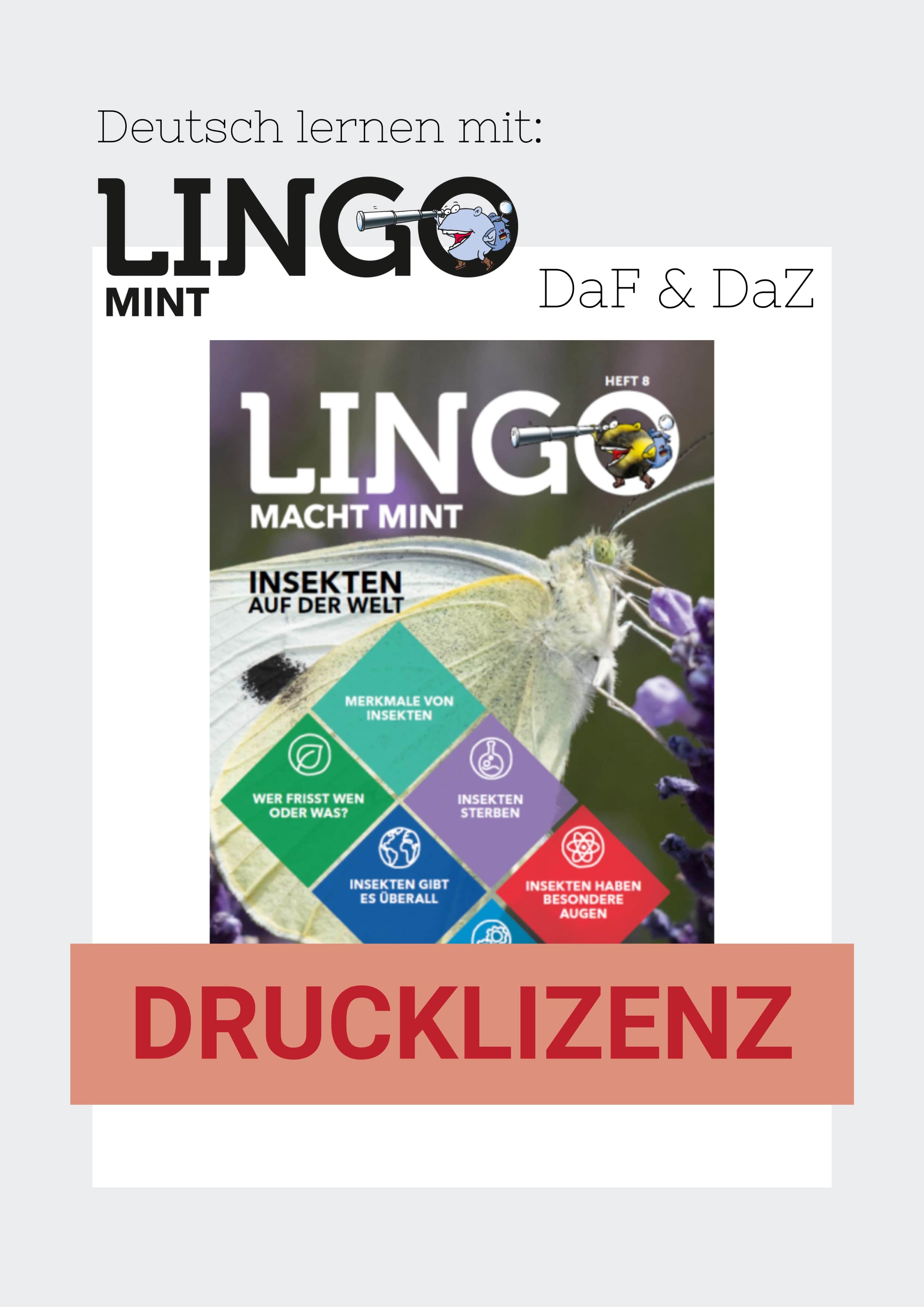 Titelbild: Lingo macht MINT Drucklizenz 8 Insekten auf der Welt