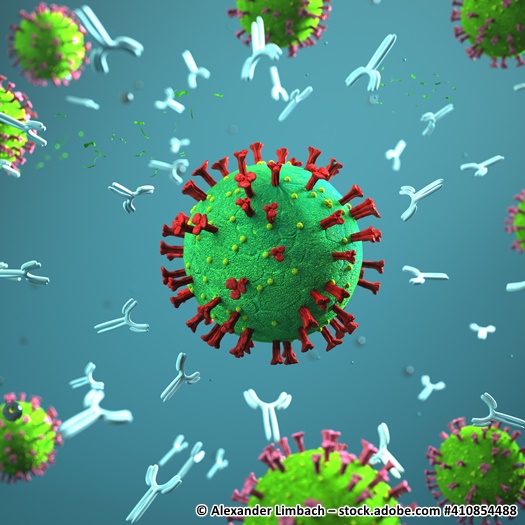 Virus und Antikörper