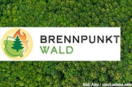 Logo Brennpunkt Wald Baum grüner Hintergrund