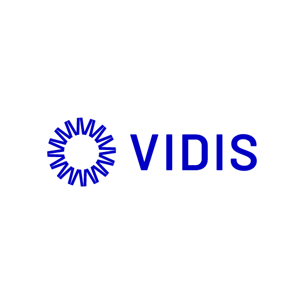 Logo des Projekts VIDIS