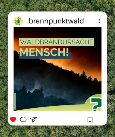 Bild zeigt einen Instagram Account