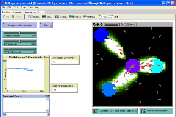 Screenshot eines mit NetLogo erstellen Modells zur Ameisenstraße